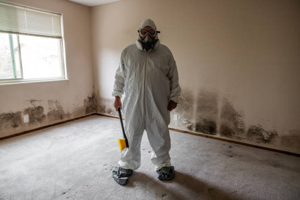 Forensic Mold Investigation in Rio Grande, NJ